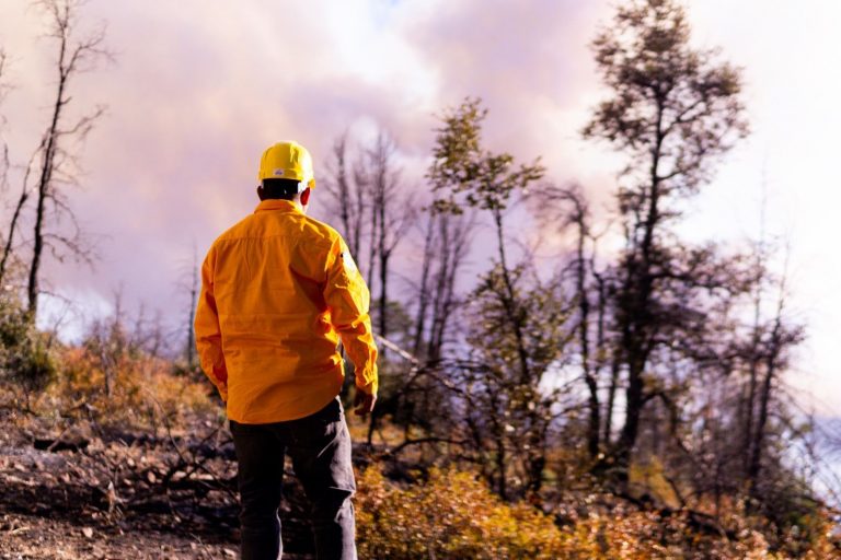 Se han liquidado 500 incendios forestales en el estado durante 2025: SDR