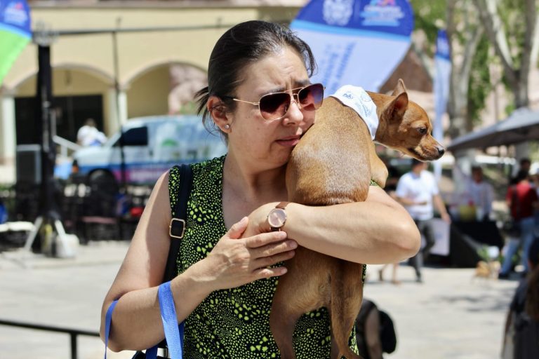 Ofreció Gobierno Municipal más de mil servicios gratuitos para caninos