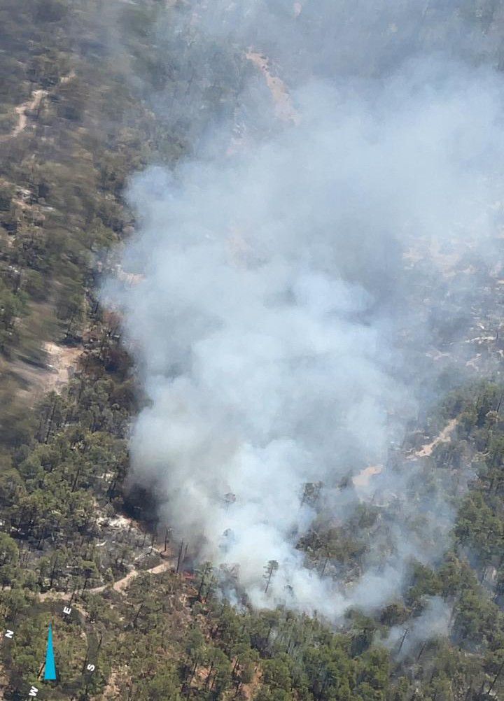 Inician autoridades reconocimiento aéreo ante incendios forestales en Ocampo