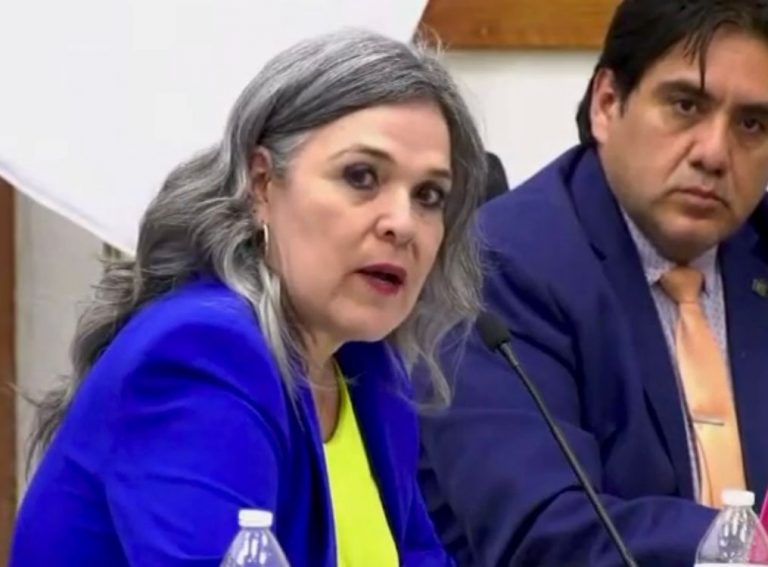 La paridad no es un límite: mujeres ganan mayoría en votos, pero pierden espacios por una ley mal diseñada: Georgina Avila, consejera Electoral
