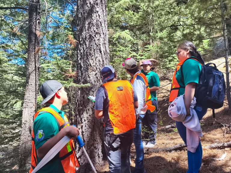 La UACH será sede del XVII Congreso Mexicano de Recursos Forestales 2025