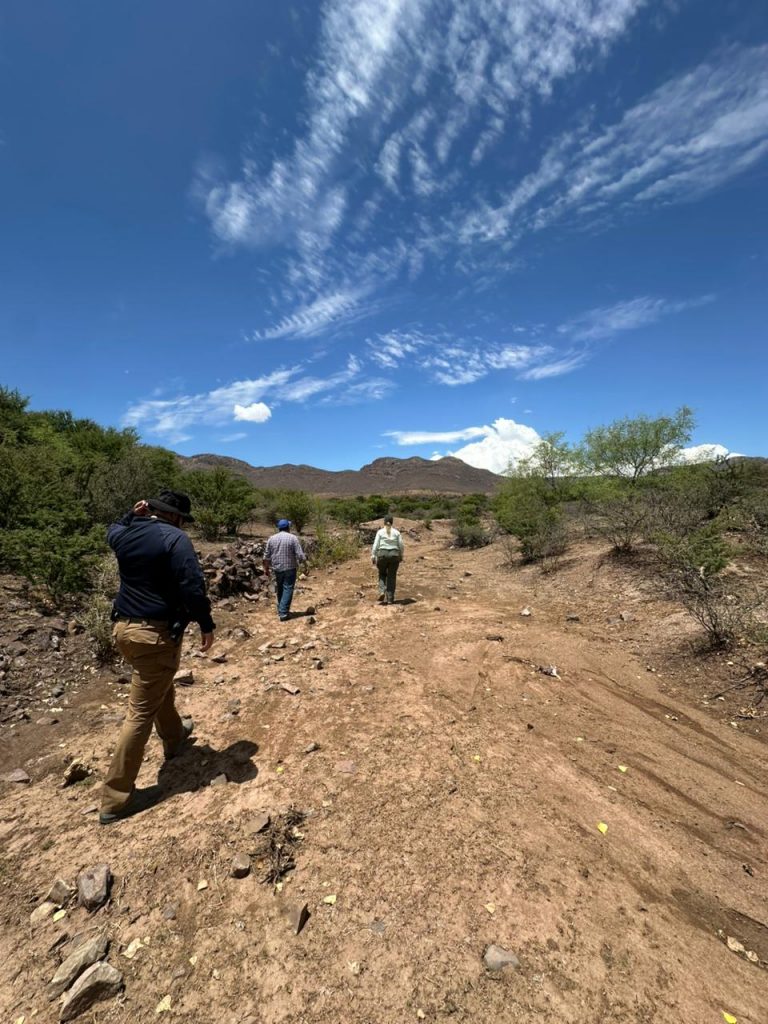 Busca FGE Zona Sur a personas desaparecidas en Minas Nuevas