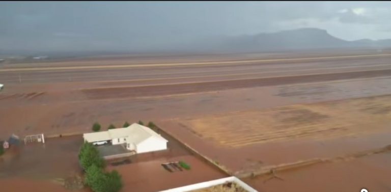 Causan lluvias inundaciones en campos menonitas