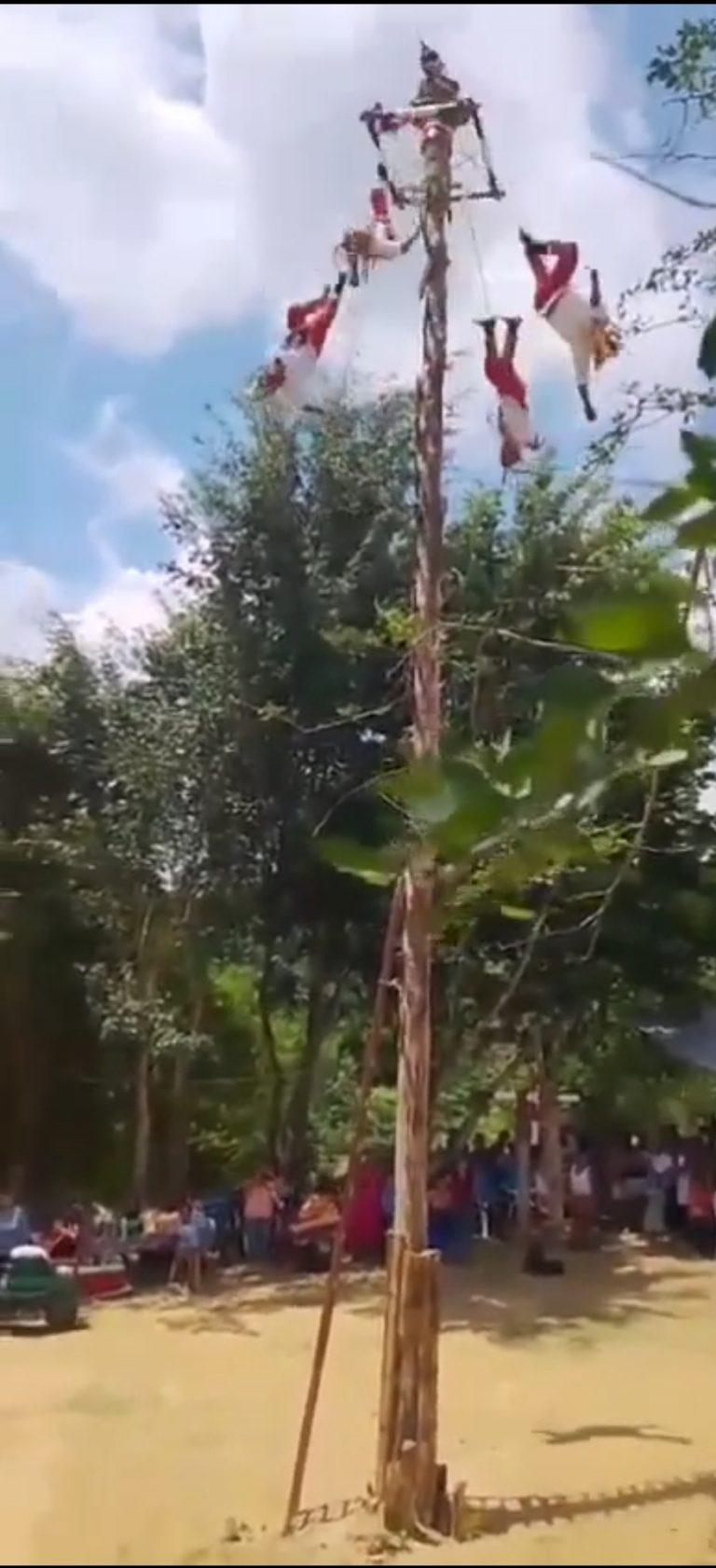 Caen Voladores Papantla durante ritual en Veracruz