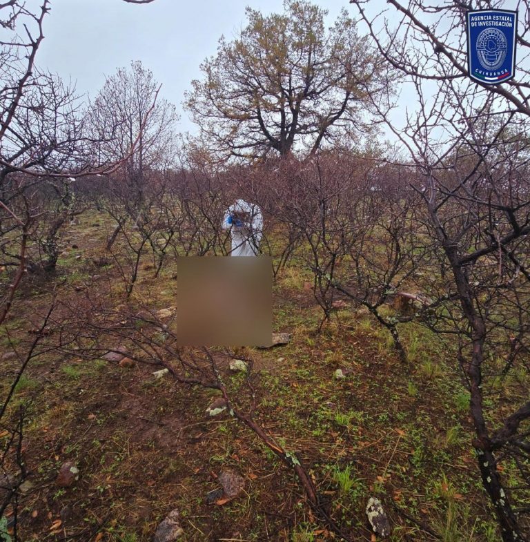 Hallan osamenta en La Noria