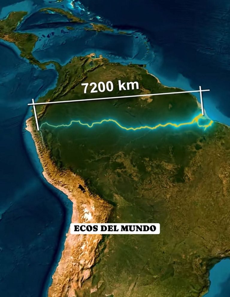 El asombroso río Amazonas