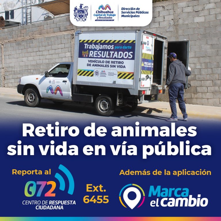 Ofrece Gobierno Municipal servicio de retiro de animales sin vida en la vía pública