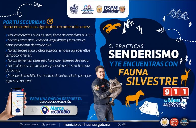 Previenen corporaciones de seguridad a senderistas por riesgos de presencia de animales silvestres