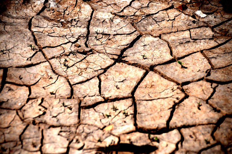 Impulsan en la UACH proyecto para restaurar suelos degradados en el desierto chihuahuense