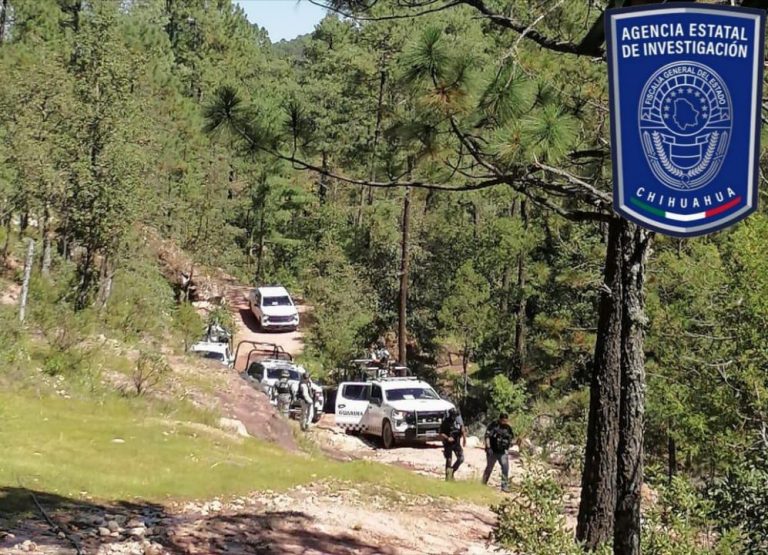 Encuentra Célula BOI punto de halconeo, fusil y balas calibre .223mm en Guadalupe y Calvo
