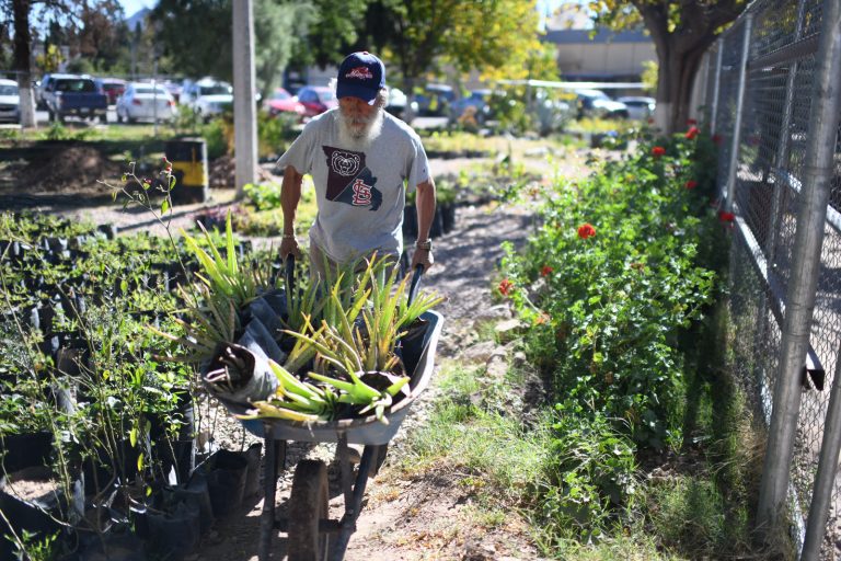 Entre aromas y colores, FACIATEC-UACH ofrece venta de plantas y servicio de jardinería en su vivero