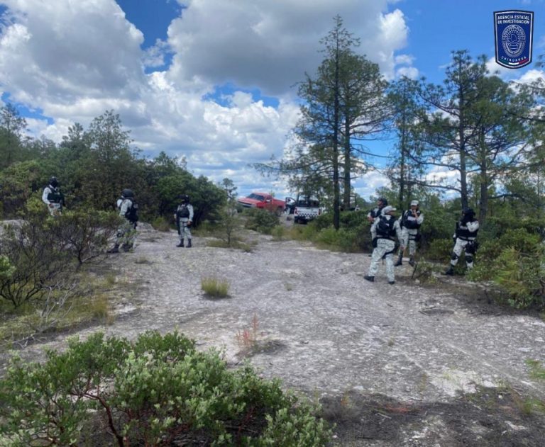 Atiende Operativo Conjunto reporte de disparos y sujetos armados en Sisoguichi