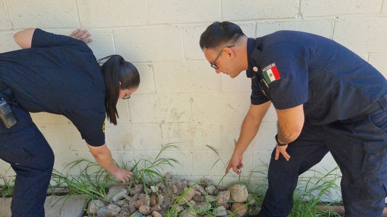 Exhorta bomberos a tomar medidas preventivas por aparición de animales ponzoñosos