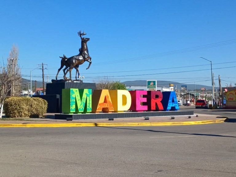 Madera se prepara para convertirse en un destino turístico y forestal de talla mundial