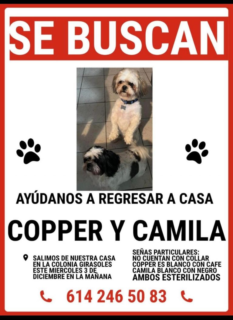 ¡Ayúdanos a encontrarlos!