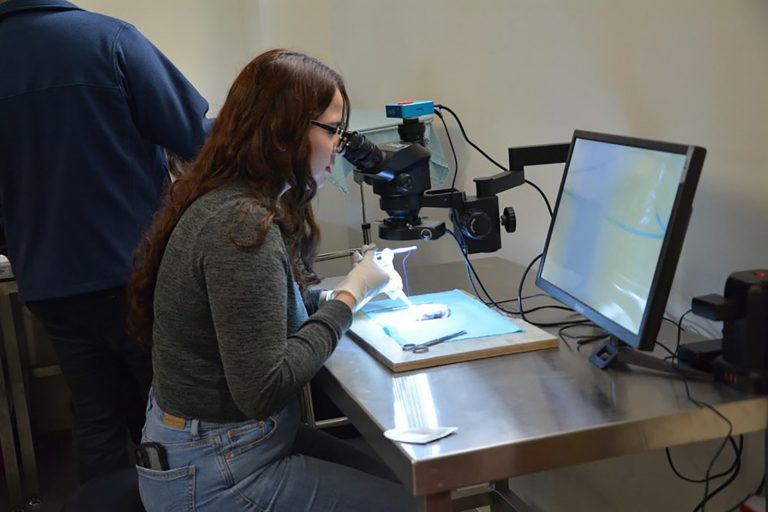 Inteligencia artificial en la medicina: herramienta de apoyo, no sustituto del médico