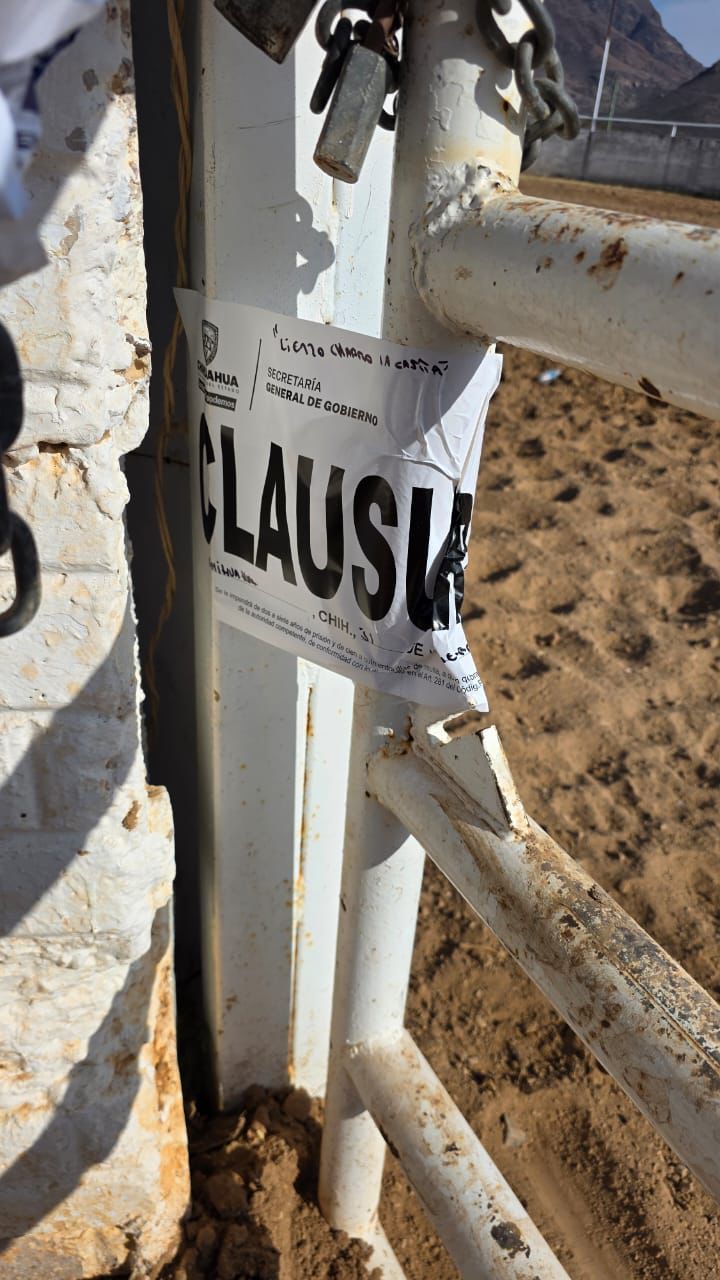 Clausura Gobernación Estatal evento de pelea de gallos y coleadero