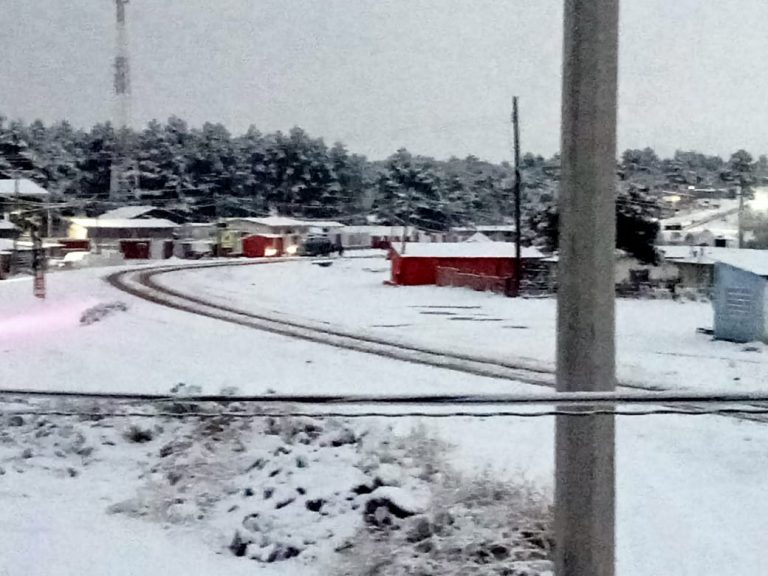 Registran nevadas cinco municipios del estado