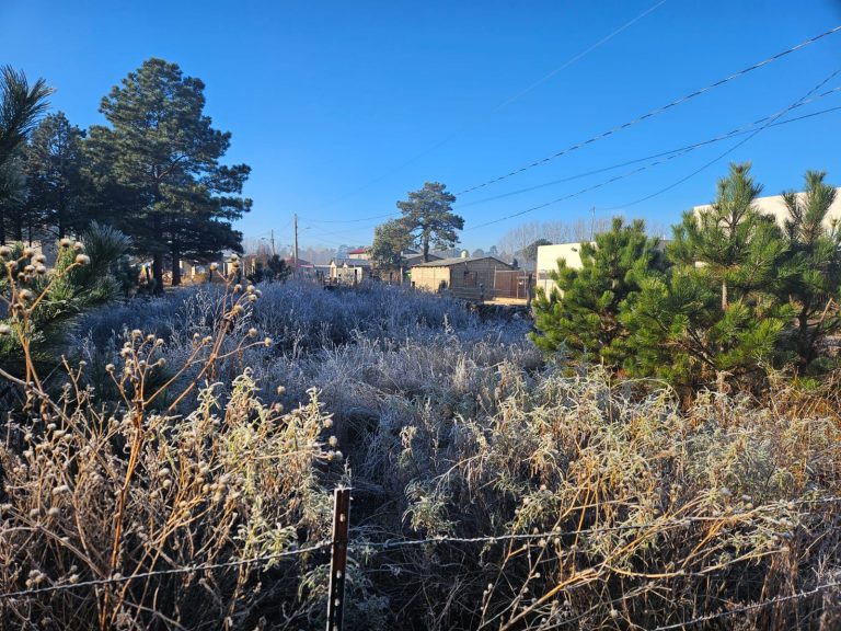 Registra CEPC heladas en gran parte del estado