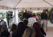 Agentes de la CIA fallecen en accidente en Chihuahua; Sheinbaum anuncia investigación