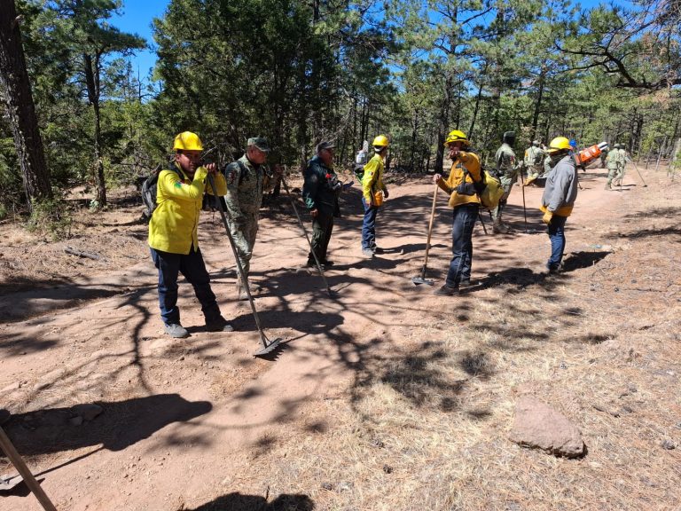 ALERTA: SDR llama a evitar quemas agrícolas para prevenir incendios forestales