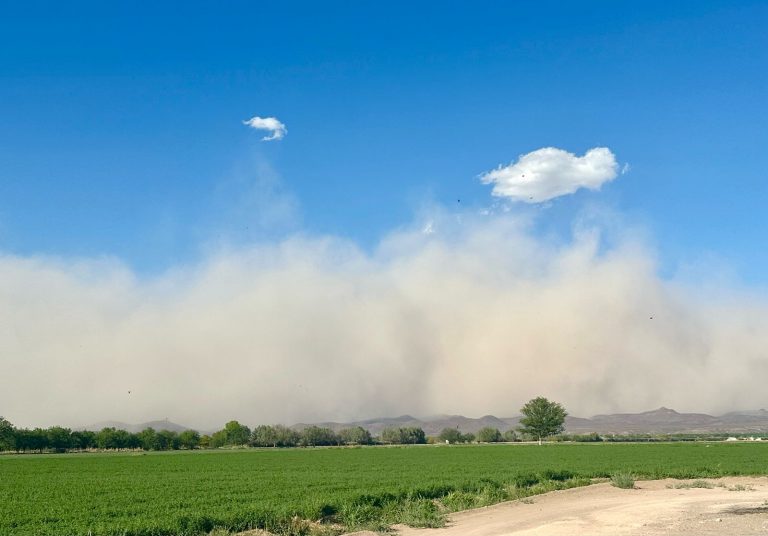 Protección Civil alerta por ráfagas de viento que superarán los 75 km/h